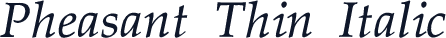 Pheasant Thin Italic