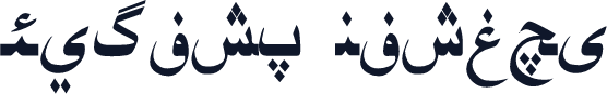 Asliya Uighur