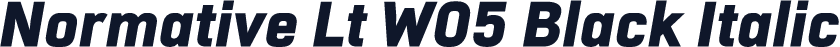 Normative Lt W05 Black Italic
