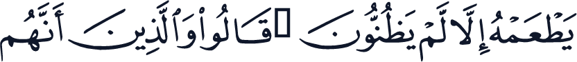 QCF_P041