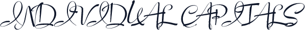 Individual Capitals