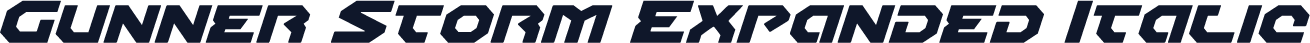 Gunner Storm Expanded Italic