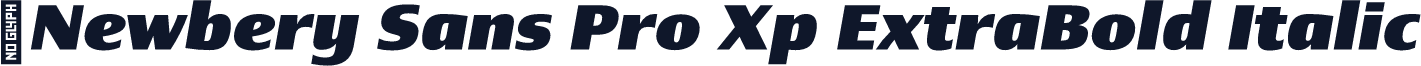☞Newbery Sans Pro Xp ExtraBold Italic