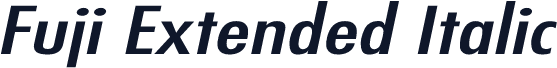 Fuji Extended Italic