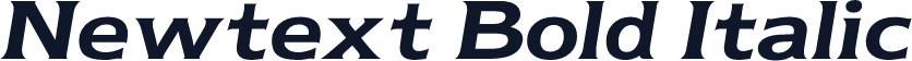 Newtext Bold Italic
