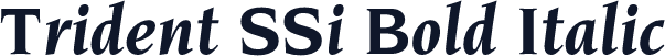 Trident SSi Bold Italic