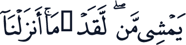 QCF_P356