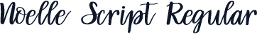 Noelle Script Regular
