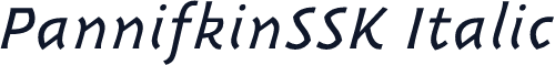 PannifkinSSK Italic