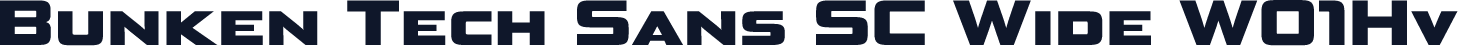 Bunken Tech Sans SC Wide W01Hv