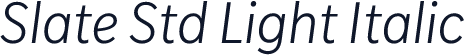 Slate Std Light Italic