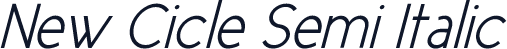 New Cicle Semi Italic