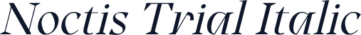 Noctis Trial Italic