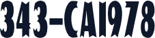 343-CAI978