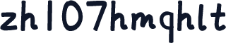 zh107hmqhlt