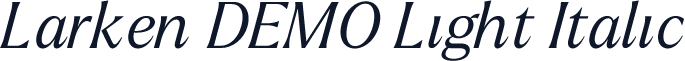 Larken DEMO Light Italic