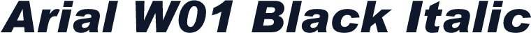Arial W01 Black Italic
