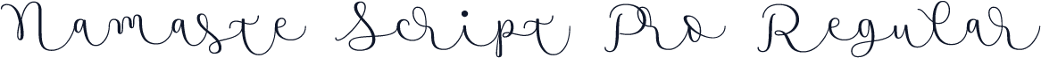 Namaste Script Pro Regular