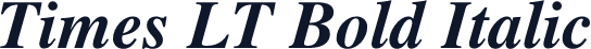 Times LT Bold Italic