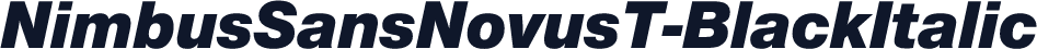 NimbusSansNovusT-BlackItalic