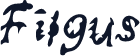 Filgus