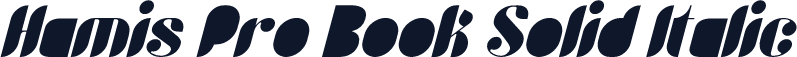 Hamis Pro Book Solid Italic