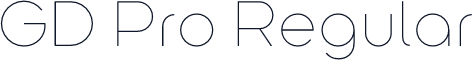 GD Pro Regular