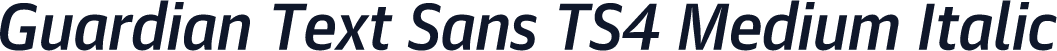 Guardian Text Sans TS4 Medium Italic
