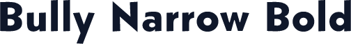 Bully Narrow Bold