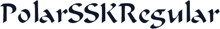 PolarSSK Regular