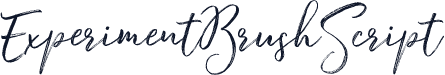ExperimentBrushScript