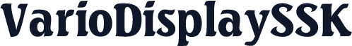 VarioDisplaySSK