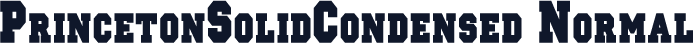 PrincetonSolidCondensed Normal