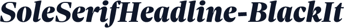 SoleSerifHeadline-BlackIt