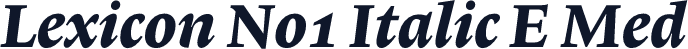 Lexicon No1 Italic E Med