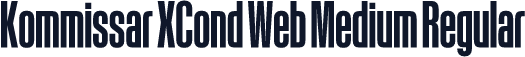 Kommissar XCond Web Medium Regular