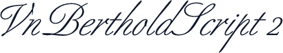 VnBertholdScript 2