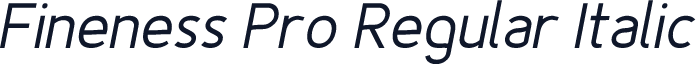 Fineness Pro Regular Italic