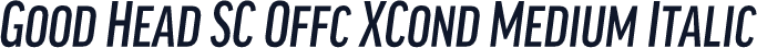Good Head SC Offc XCond Medium Italic