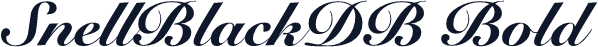 SnellBlackDB Bold