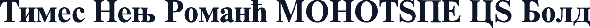 Times New Roman* MONOTYPE CY Bold