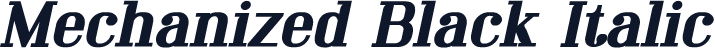 Mechanized Black Italic