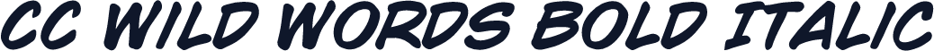 CC Wild Words Bold Italic