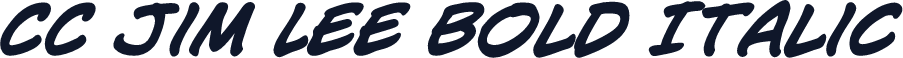 CC Jim Lee Bold Italic