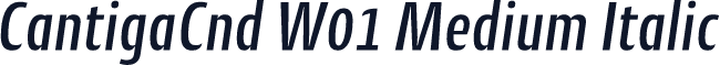 CantigaCnd W01 Medium Italic