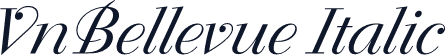VnBellevue Italic