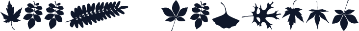 Leef Regular
