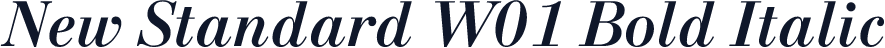 New Standard W01 Bold Italic