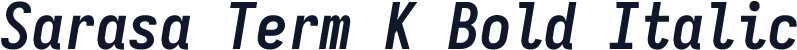 Sarasa Term K Bold Italic