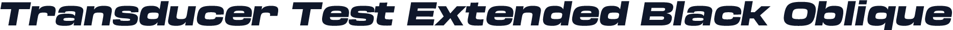 Transducer Test Extended Black Oblique